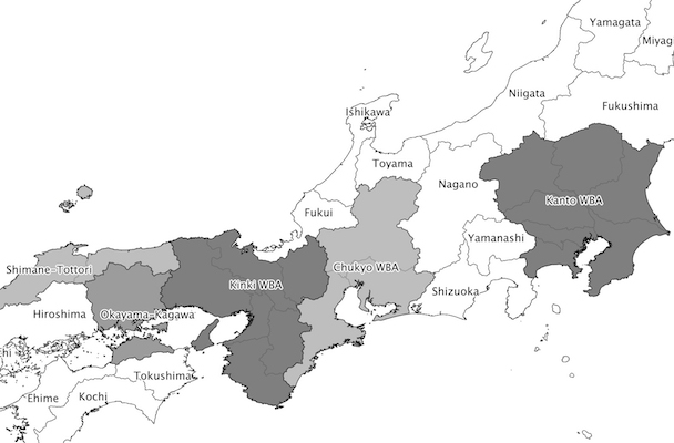 At the Digital Watershed: Terrestrial Television Broadcasting in Japan